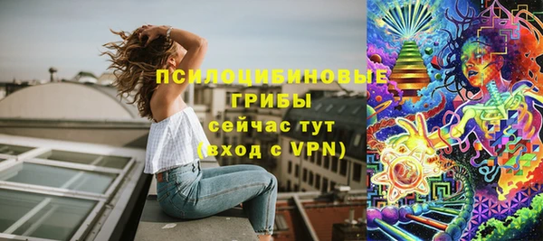 MDMA Новодвинск