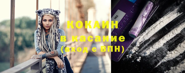 эйфоретик Новозыбков